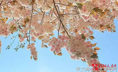 我的暖心。的句子