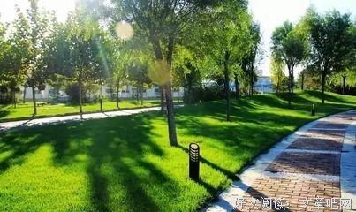 不爱换头像的人，通常都是这几种性格，有你吗？