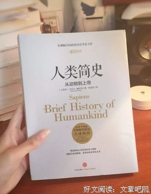 世界简史的读后感大全