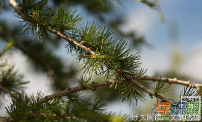 一息尚存的语句摘抄_关于一息尚存的语句