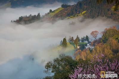 关于百花齐放的语句