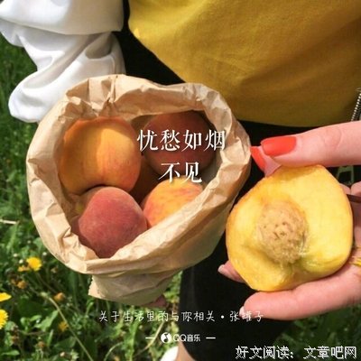 15条关于破罐子破摔的经典语句