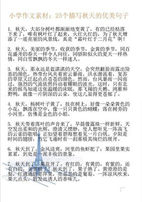 议论文素材优美的句子