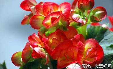 最近很红的一段话！