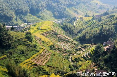 狗头拍牛片读后感锦集
