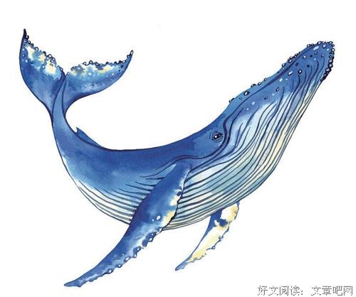 给鲸称体重，总共分几步