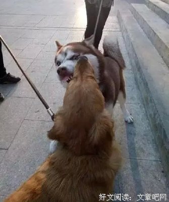 忍无可忍，我将丈夫送进了地狱
