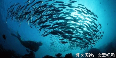 关于想得到的名言