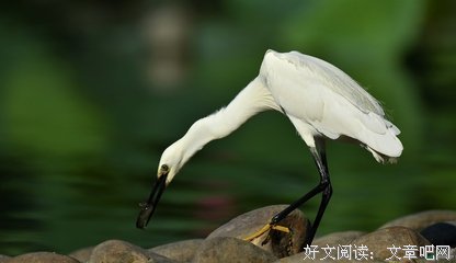 有关欲擒故纵的美文美句摘抄