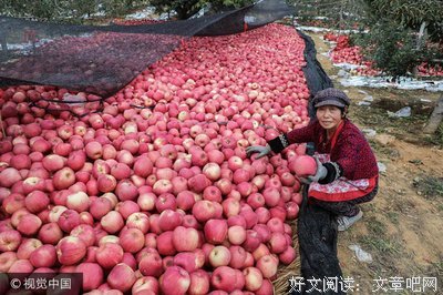 关于心急如焚名言名句