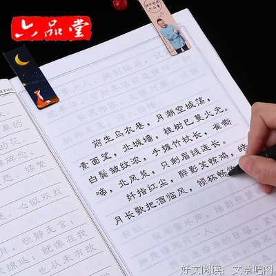 看起来蛮有意思的优美句子