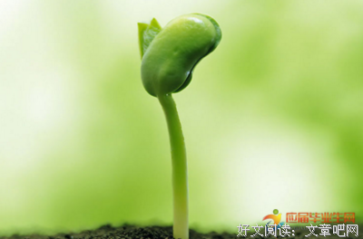回首优美的句子