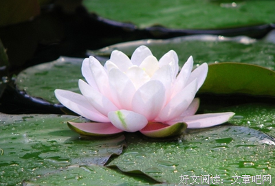 《美丽新世界》经典句子