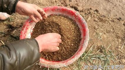 男女老少通吃的一级&#39;猛男&#39;筝哥！