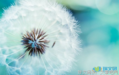 男人。男人优美的句子