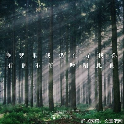 志龙啊，句子大全