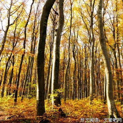 《了不起的高二八班》经典影评集