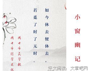 《一真见血》的观后感大全