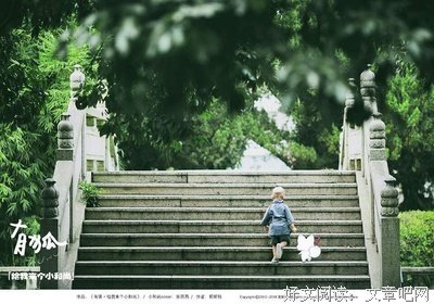 《动物管理局》经典影评有感