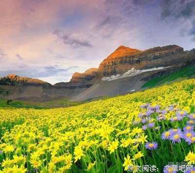 《等一个没起雨错过彩虹》的句子