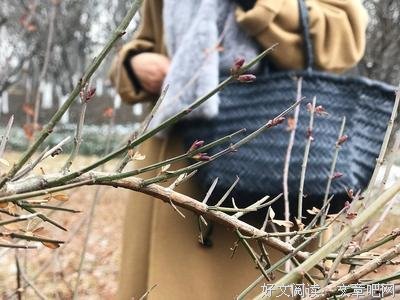一个人最顶级的自律，便是断舍离！
