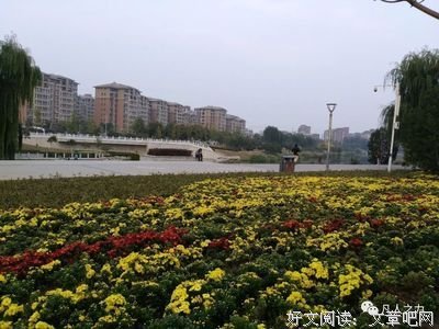 新刻繡像批評金瓶梅(會校本．重訂版)读后感100字