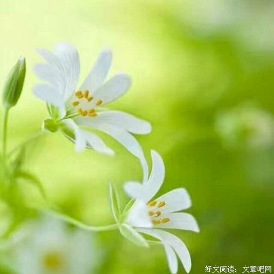 有话慢慢说