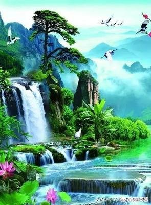 如果可以返老还童，你有什么愿望？