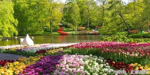 有所为格言警句
