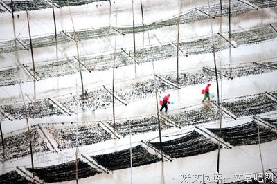 秦时明作孩妈事经典语录