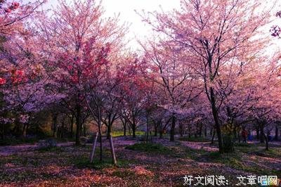 关于我想的的优美句子
