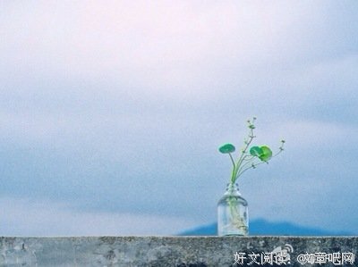《简祯》的句子