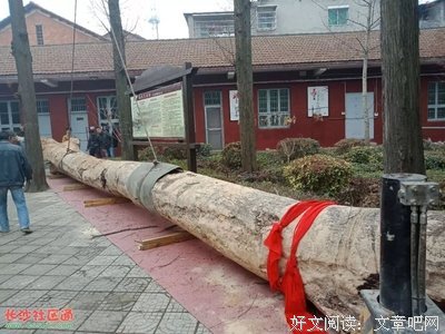 澧水白话：刘蛋生的故事(一笑/澧县)