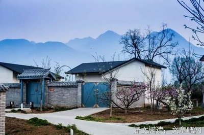 围炉小炒 ｜ 再思考-饭圈文化：网络信息与文化象限