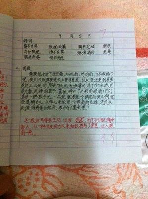 若有小时地事将个可回头好词好句