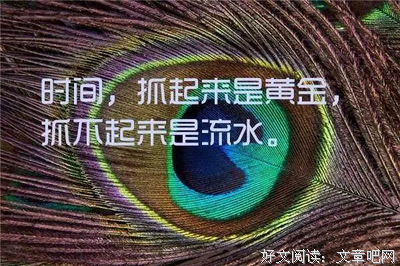 关于收藏的句子