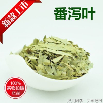 《瘦身大作战》影评精选