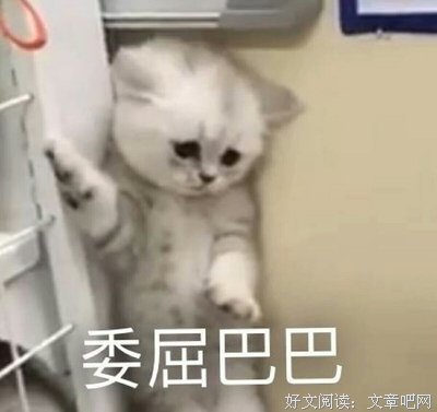 《悲伤逆流成河》经典观后感集