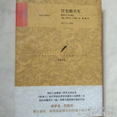 骑兵军读后感精选