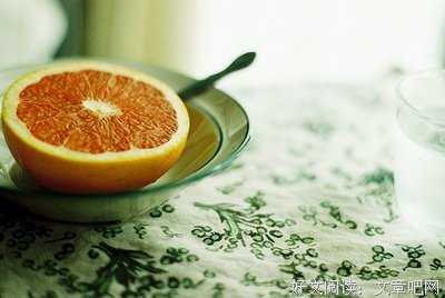 《橙子故事》的读后感大全