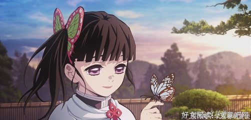描写合情合理的经典句子