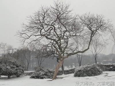 老公的私生子找上门