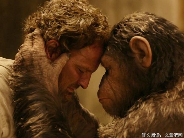 《双面生活》经典影评1000字