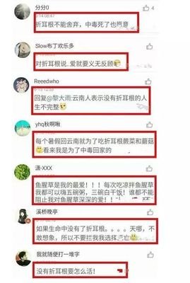 《耳根》的句子