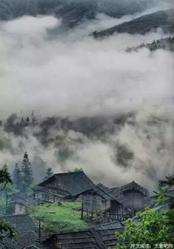 行到低时心自洁