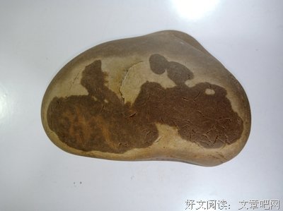 关于和平共处的唯美语录