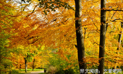描写无所作为的语句摘抄