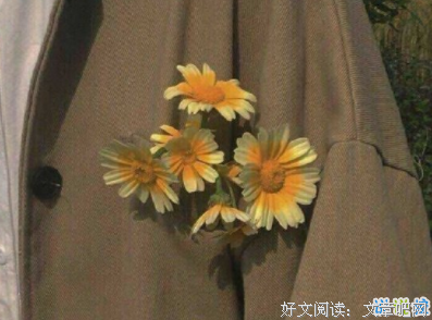 随性句子大全