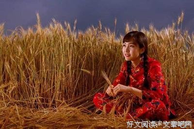 为什么女人爱得越久，越难放下？最终却导致对方出轨！
