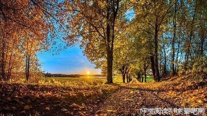 文笔风句子